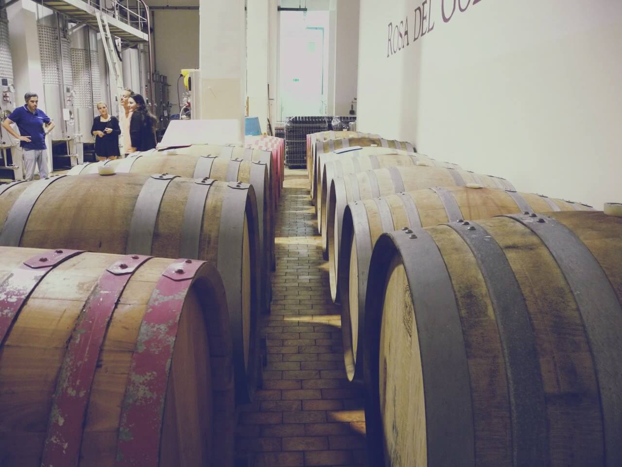 Vineyard Visit Barrique Wine Tasting